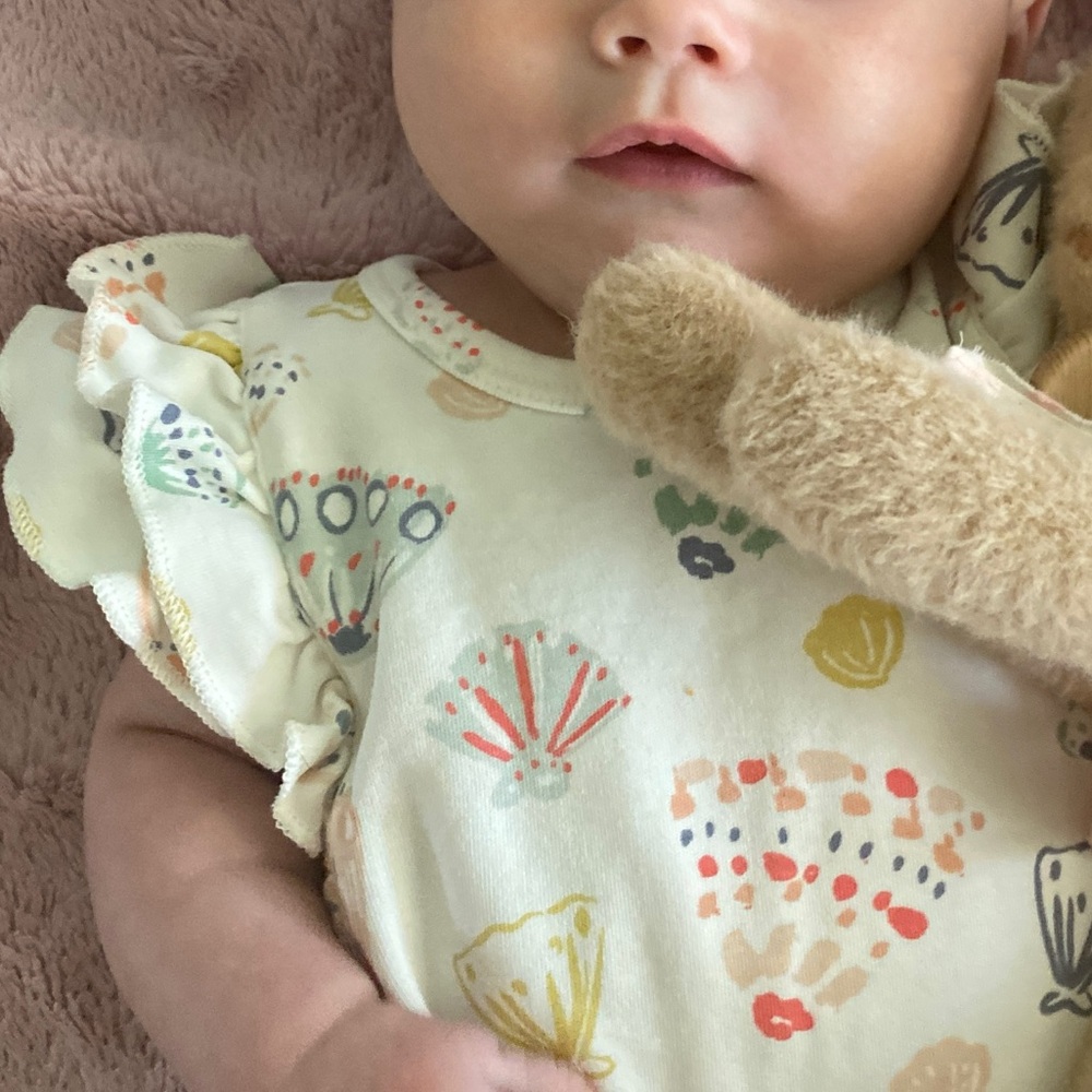 Pehr seashell bubble